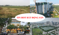  Hà Nội: Cưỡng chế thu hồi hơn 7.000 m2 đất nông nghiệp tại huyện Thường Tín 