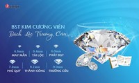  Có thể tạo ra kim cương trong 15 phút nhờ quy trình mới mang tính đột phá 第5张