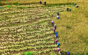 Thông tin mới về công tác tìm kiếm người mất tích tại thôn Làng Nủ (Lào Cai)  第3张