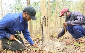 Nông dân một làng ở Hải Dương hoá thân thành nghệ nhân rối nước phục vụ khách trẩy hội đền Kiếp Bạc  第13张