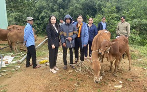 Ông Trương Văn Tùng được bầu làm Chủ tịch Hội Nông dân tỉnh Lâm Đồng