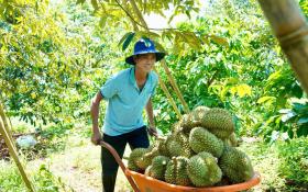 Nông dân Việt Nam xuất sắc ở Hòa Bình-một ngày gặp lại, thêm thông tin mới, thành công mới