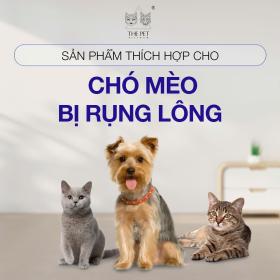 The Pet Vietnam - Pate tươi cá, gà dành riêng chó mèo bị rụng lông