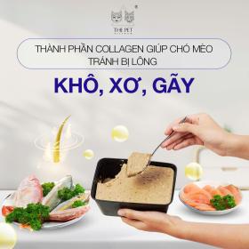 The Pet Vietnam - Pate tươi cá, gà dành riêng chó mèo bị rụng lông  第2张