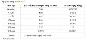 Giá USD hôm nay 16/9: Trong nước ổn định, thế giới giảm sâu