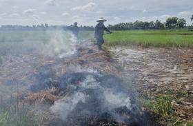  Nhà thầu thi công cao tốc để rò rỉ dầu gây chết lúa: Đền bù cho người dân 