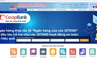  Thanh tra chỉ nguyên nhân Quỹ đầu tư phát triển An Giang có tỷ lệ nợ xấu cao 