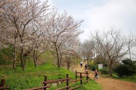 Ăn chơi tự túc ở Busan 