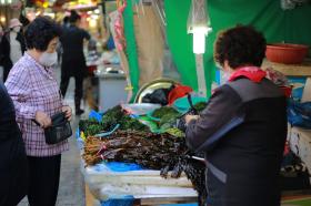 Ăn chơi tự túc ở Busan 