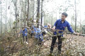  Bắc Giang đẩy mạnh phân loại chất thải rắn sinh hoạt tại nguồn 