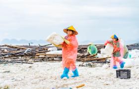  Hàng trăm phật tử trẻ Chùa Ba Vàng phối hợp cùng Thành đoàn Hạ Long dọn dẹp bãi biển Tuần Châu 