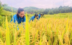 Người đàn ông dũng cảm lao vào dòng nước sâu cứu cháu bé 11 tuổi bị đuối nước