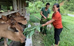 Mang Tết Trung thu đến với học sinh nghèo người dân tộc La Hủ ở huyện biên giới Mường Tè (Lai Châu)  第15张