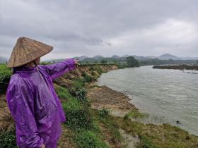 Hà Tĩnh: nhiều diện tích chè bị sạt lở, cuốn trôi xuống sông Ngàn Phố  第11张