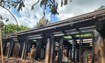  Đừng chỉ dùng chanh đào để ngâm mật ong, còn &apos;tỷ loại công dụng&apos; nữa cực tốt cho sức khỏe 第12张