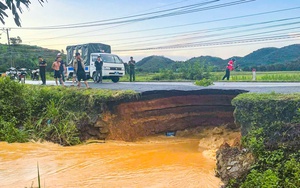 Chuyên gia hiến kế bảo vệ thương hiệu nông sản Đà Lạt sau vụ “khoai tây mạo danh”