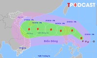  TPHCM khẩn trương ứng phó bão số 6 Trà Mi 