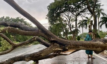  Cao răng, &apos;sát thủ&apos; trong… miệng 